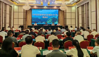 全市盘活国有林业资源改革工作现场会要求：厚植生态底色 提升经济成色