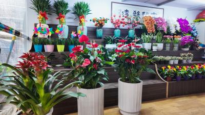 从“扮家”到“婚庆”   鲜花绿植解锁节日消费双场景