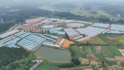 全新亮相！崇阳药王谷邀您双节来打卡