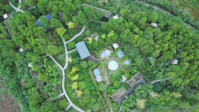 崇阳：十一假期酒店预订持续升温   生态康养游受青睐