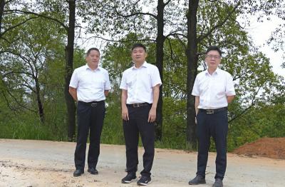 徐望调研白霓镇全域国土综合整治项目时强调：加快项目建设 促进融合发展