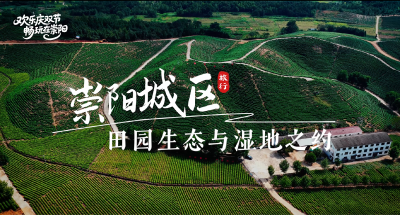 【欢乐庆双节 畅玩在崇阳②】崇阳城区 田园生态与湿地之约