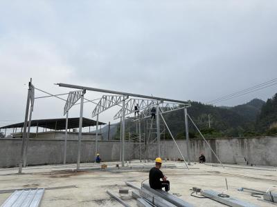 崇阳县港口乡闲置校舍变身黄精加工厂  奏响乡村“致富曲”