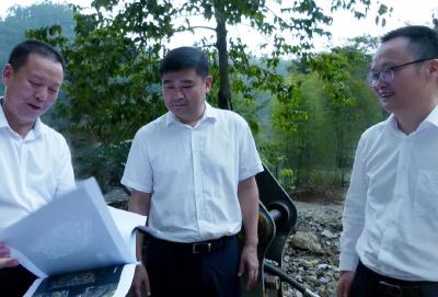 徐望深入古市林场、桂花林场调研时强调：大力发展林下经济 让生态优势转化为发展优势