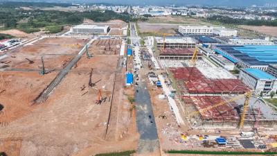 【奋力打造幕阜山区绿色产业发展强县】崇阳：发扬钉钉子精神 全力推动项目建设提速增效