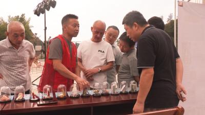 拆盲盒、学知识、看表演......崇阳县路口镇平安宣传活动点亮居民生活