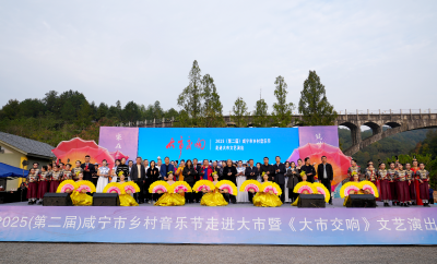 田野放歌星夜狂欢   2025（第二届）咸宁市乡村音乐节在崇阳县大市村启幕