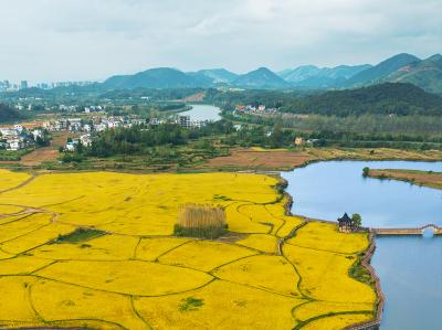 海报丨咸宁崇阳：人间逢霜降 山水共秋浓