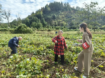 崇阳县港口乡织密护林防火“安全网”