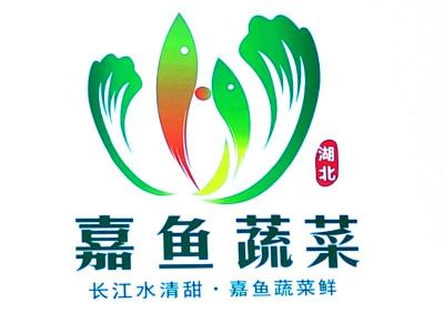 长江水清甜  嘉鱼蔬菜鲜
