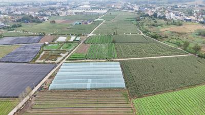 崇阳县金星村生态产业园：好“丰”景绘就好“钱”景