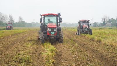 田间播种忙  崇阳科技护航22.5万亩油菜