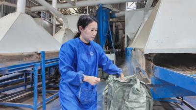 返乡新农人岳晓玲：用“艾草香”铺就“致富路”