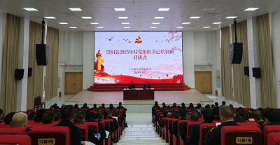 崇阳：淬炼“头雁”队伍   赋能乡村振兴