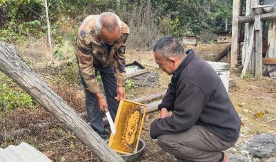 修通出山路    “摇”出甜蜜好光景