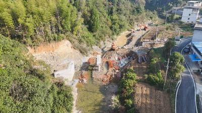 崇阳：打通“微循环”   架起“致富桥”  