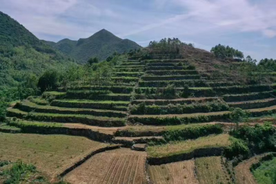 深挖古瑶文化根脉 点亮崇阳文旅新篇——崇阳举行商代铜鼓与雨山垒石梯田考究及其关联性研讨会