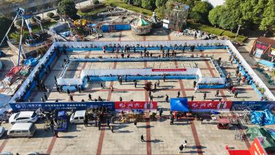 崇阳乡村振兴盆景赏石根雕展启幕  290余件佳作邀市民共赏