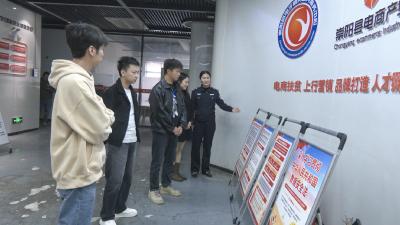 崇阳县多部门联合开展“双11”数据安全、网络安全宣传