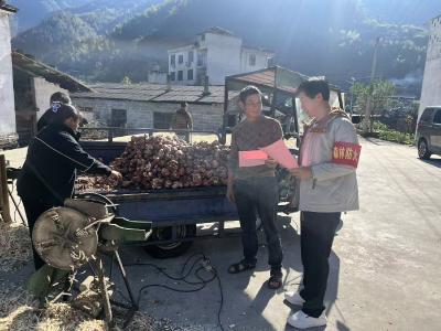 崇阳县高枧乡：筑牢防火屏障   守护绿水青山