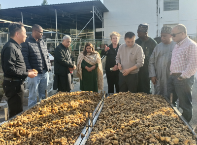 国际专家赴崇阳“寻医问药”   开展中医药文化交流