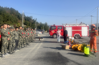 崇阳县路口镇：防患未“燃”  筑牢森林防灭火安全防线 