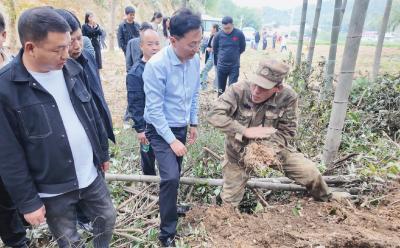 崇阳县桂花泉镇：技术分享进基地   发展黄精助增收