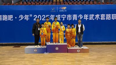 1金3银6铜！省级非遗崇阳字门矮桩拳赛场扬威