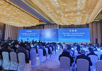 崇阳县金塘镇卫生院房颤规范诊疗工作在全省作交流发言