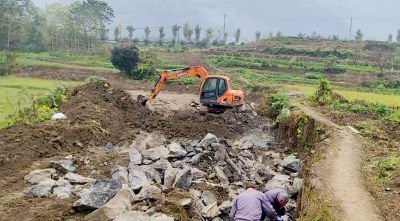 崇阳县高枧乡：代表提建议  破解田间“行路难”