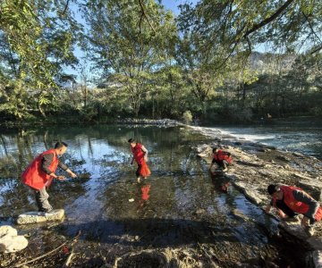 崇阳县铜钟乡：清螺患  护生态