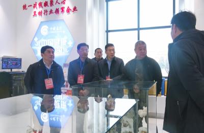 咸宁市六届人大崇阳代表团代表开展集中视察回访活动