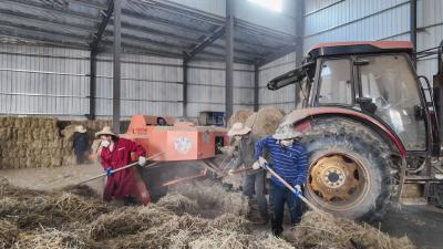 崇阳：农机赋能  秸秆“变废为宝”