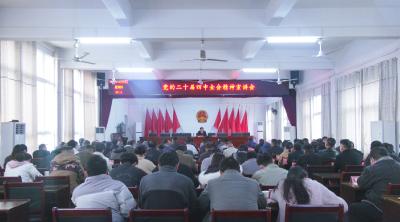 孟科到天城镇宣讲党的二十届四中全会精神