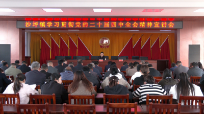 徐望到沙坪镇宣讲党的二十届四中全会精神