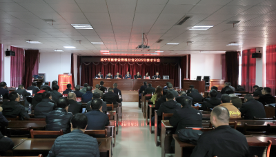 2025年咸宁市医学会骨科年会在崇阳县中医院举行