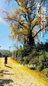 微视 | 冬日来信 落款是“金”