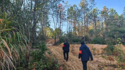 崇阳县肖岭乡：织密森林防灭火“安全网”