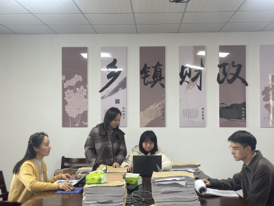 崇阳审计：“双线并进”精准发力   提升乡镇经责审计质效