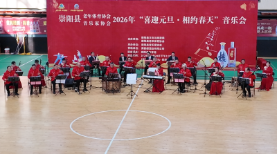 崇阳：文体盛宴庆元旦   乐声暖意润人心