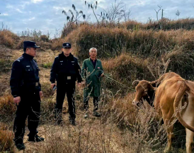 崇阳：警用无人机“立功”！热成像技术秒变寻牛“神器”