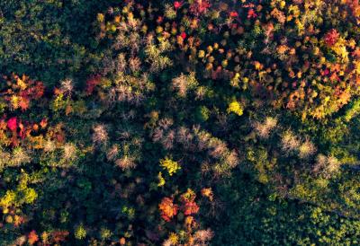 组图 | 崇阳：色彩包裹的故乡 遇见雨山梯田下的冬日童话