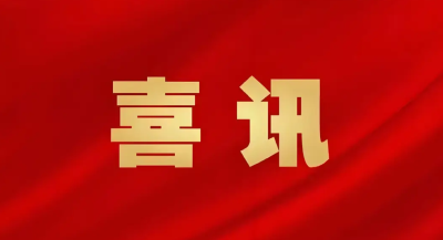 喜讯！崇阳天城商会入选2025年全国“四好”商会建设优秀案例