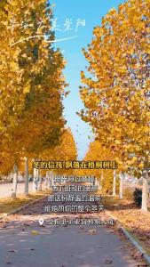 【微视】早安·大美崇阳