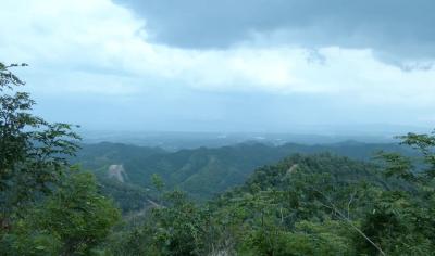 崇阳县港口乡：做严“减法”惩滥伐   做实“加法”护青山