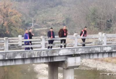 崇阳县金塘镇组织人大代表视察农村人居环境整治工作