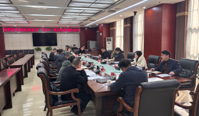 精选项目对接产业赋能发展  崇阳县加快推进县域经济“双20”帮扶机制落地见效