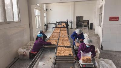 崇阳：指间揉出烟火气   麻花飘香助振兴