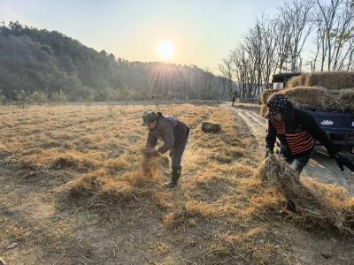 崇阳县港口乡：念好“山字经”  做活“林文章”