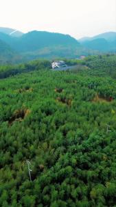 【微视】早安·大美崇阳